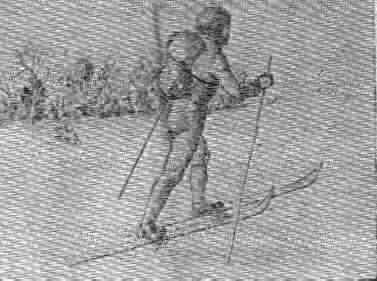 sketch of cross-country skiing