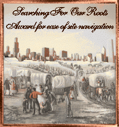 Site Navigation Award