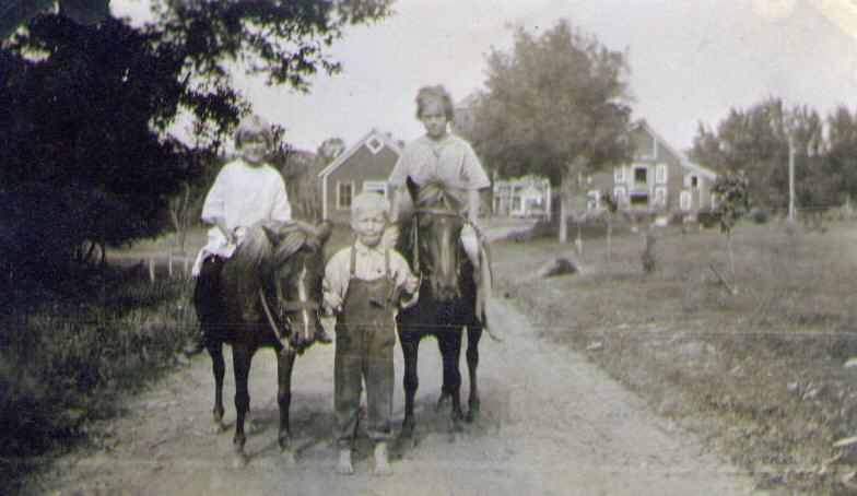 on the homefarm